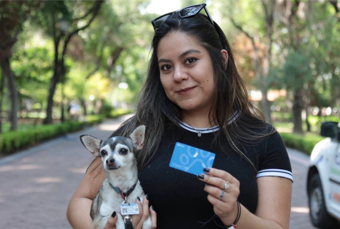 Mascotas al Qrobus: inclusión que avanza… y retos que vienen