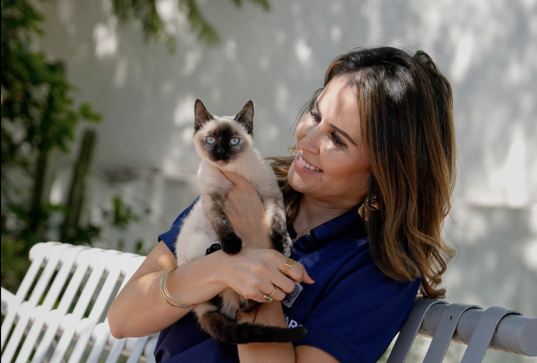 Analizando Su Post: Bienestar Animal, ¿política pública o todavía una promesa?