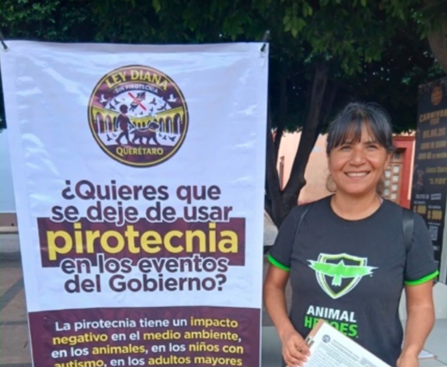 La batalla contra la pirotecnia entra en cuenta regresiva: exigen prohibirla antes del Grito de Independencia